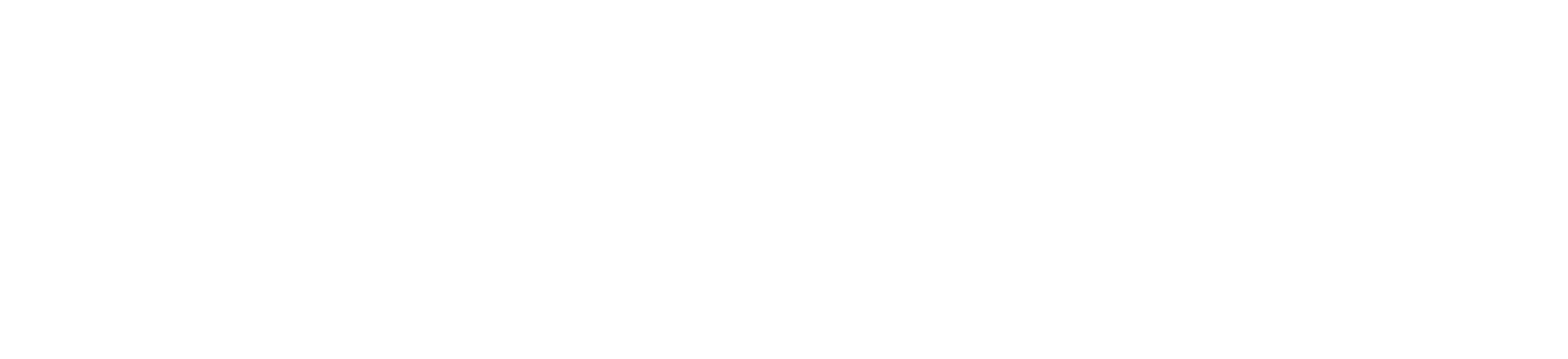 Brandon Network